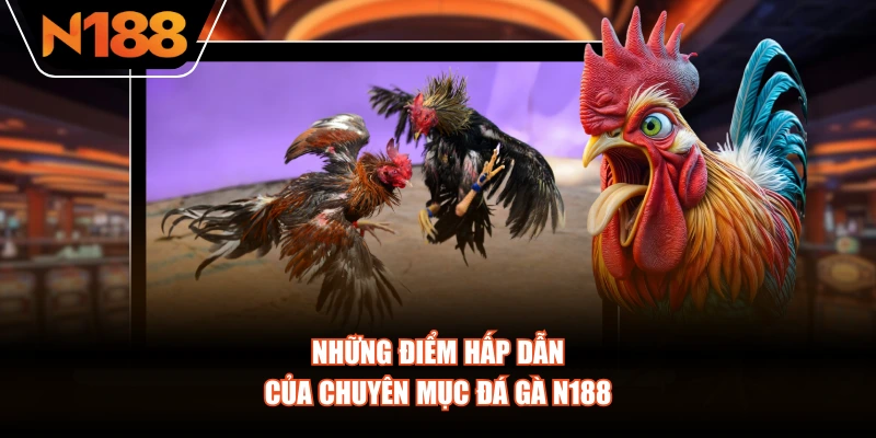 Những điểm hấp dẫn của chuyên mục Đá Gà N188